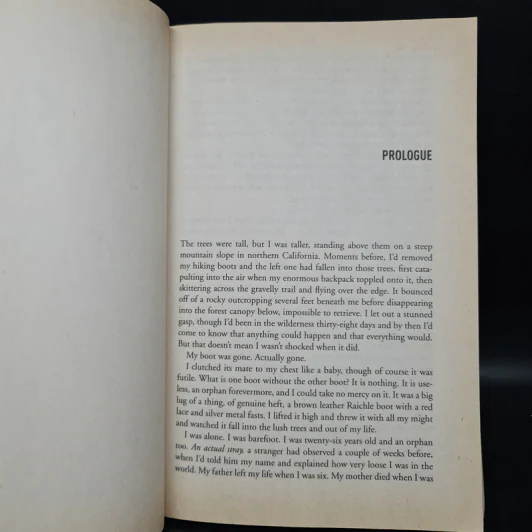 Wild: From Lost to Found on the Pacific Crest Trail - Cheryl Strayed รูปที่ 7