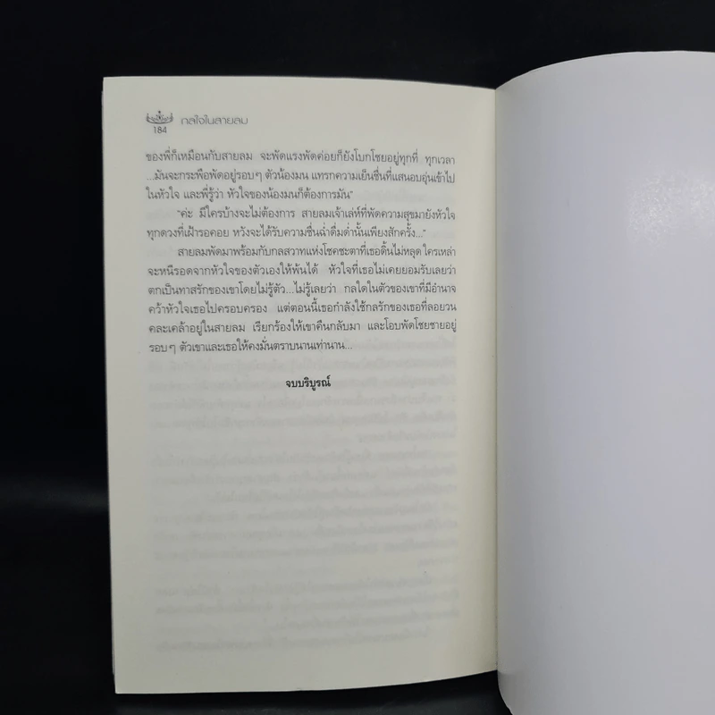 กลใจในสายลม - วาเลนไทน์ รูปที่ 8