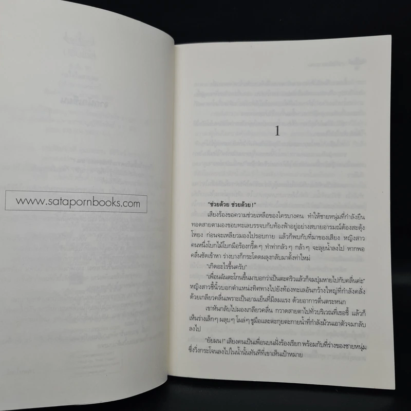 กลใจในสายลม - วาเลนไทน์ รูปที่ 7