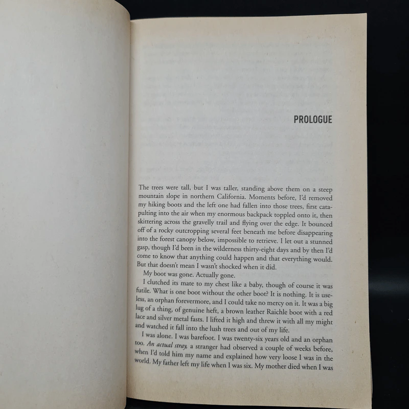 Wild: From Lost to Found on the Pacific Crest Trail - Cheryl Strayed รูปที่ 7
