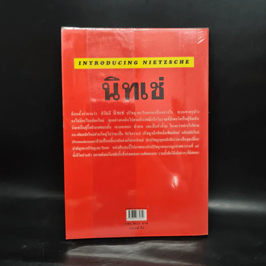 นิทเช่ นักปราชญ์ชาวเยอรมัน ผู้กบฏต่ออารยธรรมตะวันตก รูปที่ 2