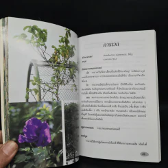 ไม้เลื้อยสวยงาม รูปที่ 7