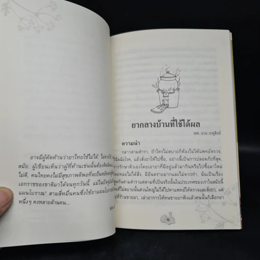 สมเด็จพระญาณสังวรฯ กับงานอนุรักษ์ความเป็นไทย รูปที่ 6