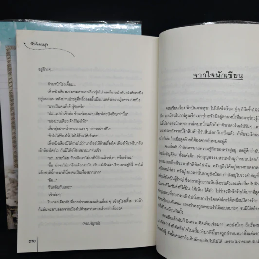 ลิขิตนำพา + ฟ้าบันดาลสุข - อวี๋ฉิง รูปที่ 10