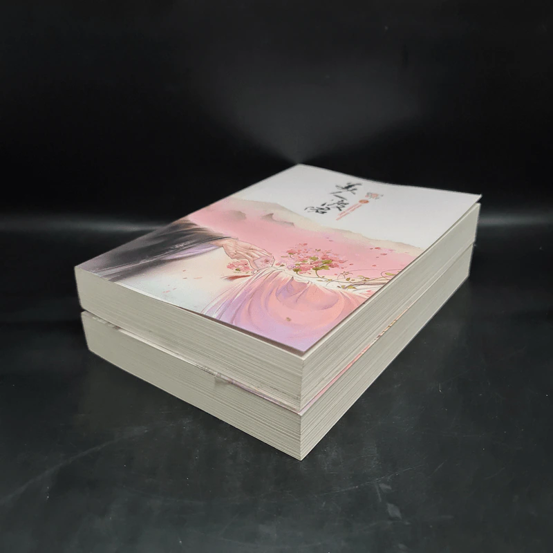 อสุรากับยาใจ เล่ม 1-2 - เยว่เซี่ยจิงหู รูปที่ 4