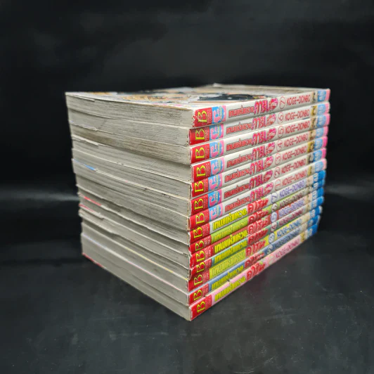 เทพแห่งแหวนคาริน ภาค 1-2 รวม 14 เล่มจบ รูปที่ 4