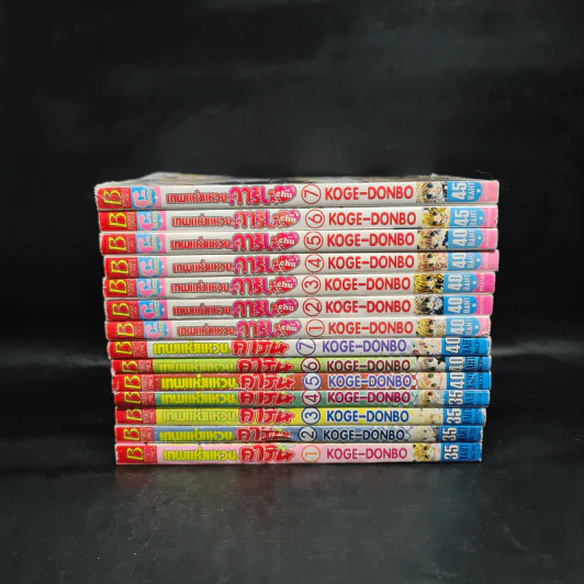 เทพแห่งแหวนคาริน ภาค 1-2 รวม 14 เล่มจบ รูปที่ 2
