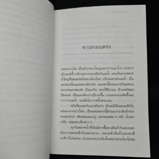 บ้านร้างกลางสวน - วัธนา บุญยัง รูปที่ 6