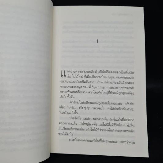 โป่งกระทิง - วัธนา บุญยัง รูปที่ 6