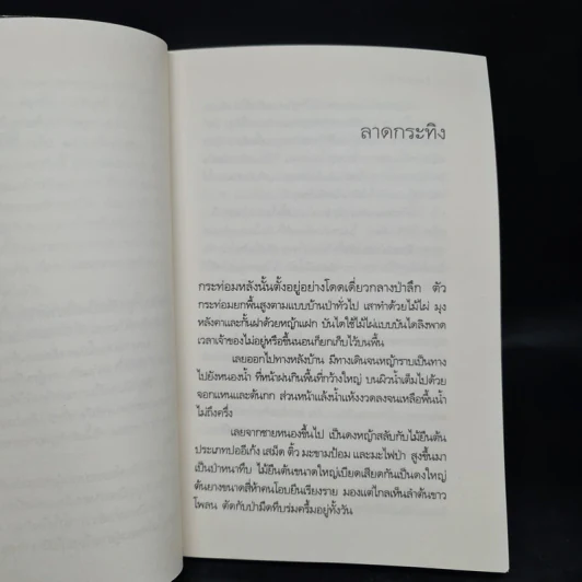 น้ำใสในป่าสูง - วัธนา บุญยัง รูปที่ 6