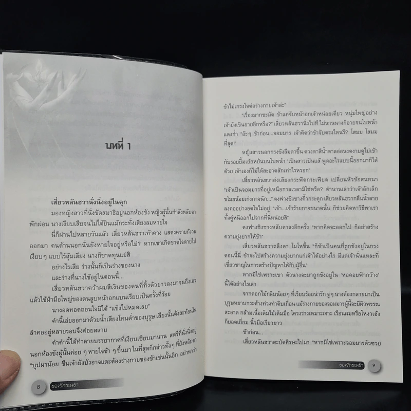 ของรักของข้า 2 เล่มจบ - จิ่วลู่เฟยเซียง (Jiu Lu Fei Xiang) รูปที่ 8
