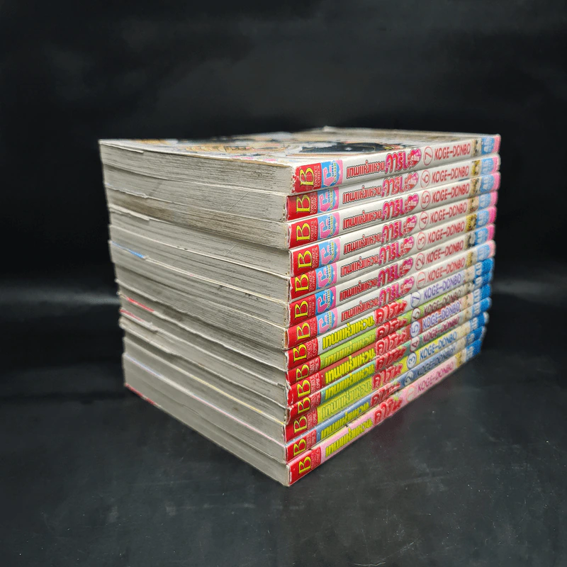 เทพแห่งแหวนคาริน ภาค 1-2 รวม 14 เล่มจบ รูปที่ 4