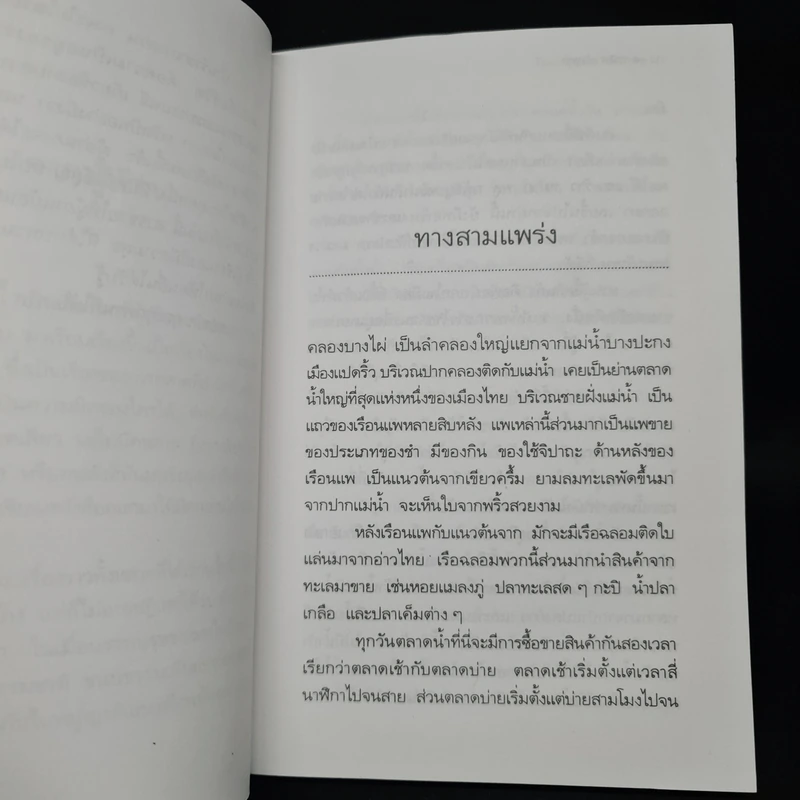 บ้านร้างกลางสวน - วัธนา บุญยัง รูปที่ 6