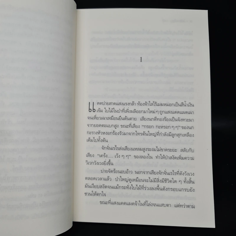 โป่งกระทิง - วัธนา บุญยัง รูปที่ 6