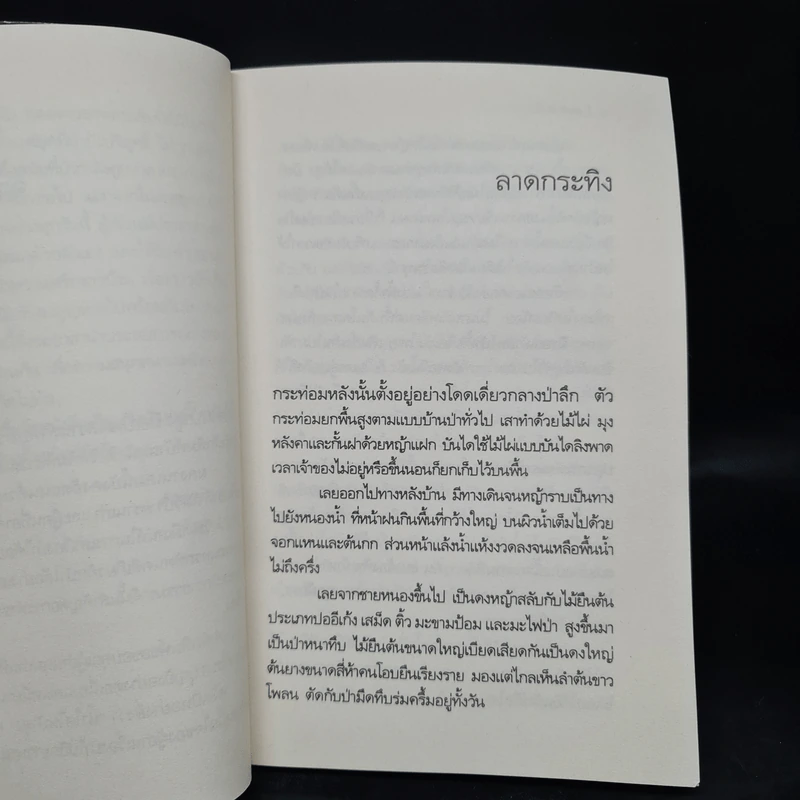 น้ำใสในป่าสูง - วัธนา บุญยัง รูปที่ 6