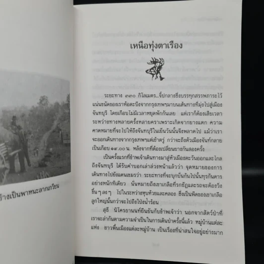 ป่าใหญ่ไพรกว้าง - ชาลี เอี่ยมกระสินธุ์ รูปที่ 7