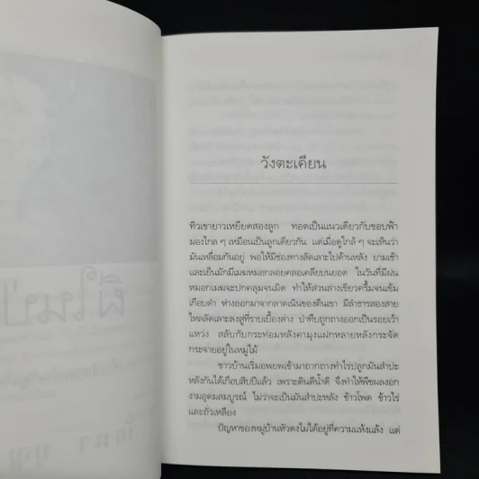 ผีในป่า - วัธนา บุญยัง รูปที่ 6