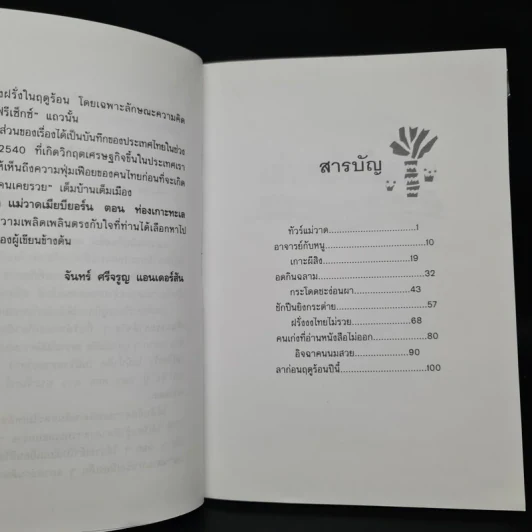 แม่วาดเมียบียอร์น ตอน ท่องเกาะทะเลเหนือ - จันทร์ ศรีจรูญ แอนเดอร์สัน รูปที่ 6