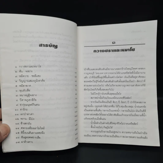 ป่าดิบดงทึบ - สังคีต จันทนะโพธิ รูปที่ 6