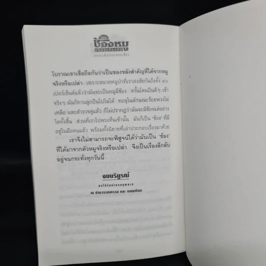 จับตายช้องหมู มฤตยูเขี้ยวตัน - พนมเทียน รูปที่ 7