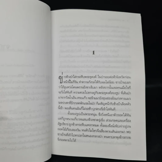 สางในป่าสูง - วัธนา บุญยัง รูปที่ 6