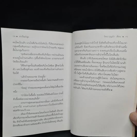 สางในป่าสูง - วัธนา บุญยัง รูปที่ 7