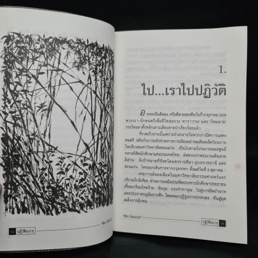 ปฏิวัติเบาๆ - ศิลา โคมฉาย รูปที่ 7
