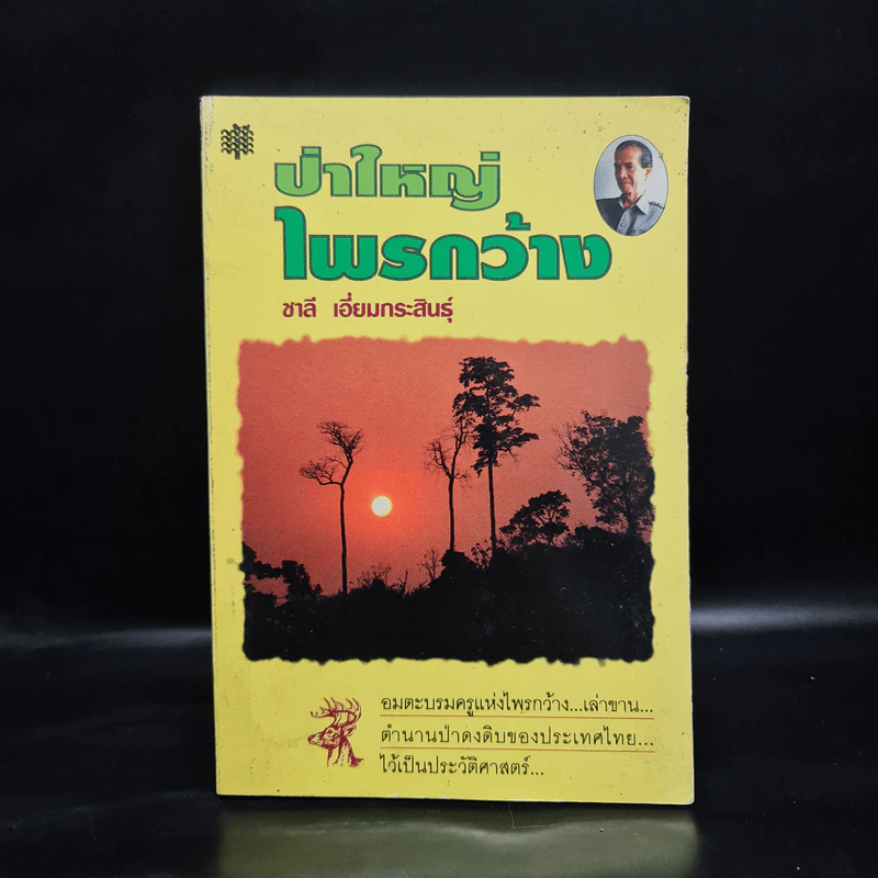 ป่าใหญ่ไพรกว้าง - ชาลี เอี่ยมกระสินธุ์ รูปที่ 1