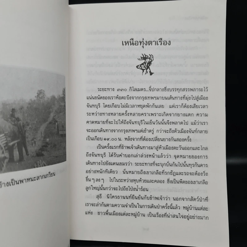 ป่าใหญ่ไพรกว้าง - ชาลี เอี่ยมกระสินธุ์ รูปที่ 7