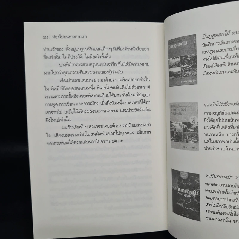 ภูผา ป่าไม้ และสายน้ำ - วัธนา บุญยัง รูปที่ 7