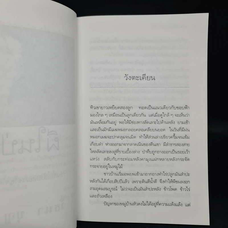ผีในป่า - วัธนา บุญยัง รูปที่ 6