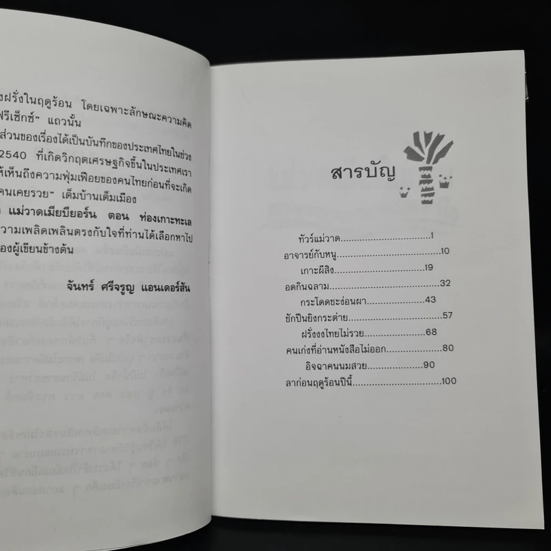 แม่วาดเมียบียอร์น ตอน ท่องเกาะทะเลเหนือ - จันทร์ ศรีจรูญ แอนเดอร์สัน รูปที่ 6
