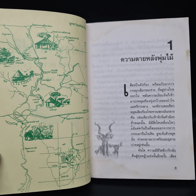ท่องป่าคาฟูอี - ดันแคน วัตต์ รูปที่ 7