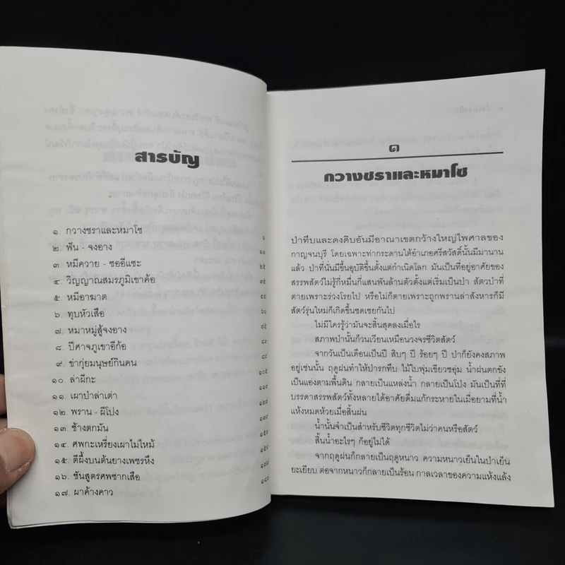 ป่าดิบดงทึบ - สังคีต จันทนะโพธิ รูปที่ 6