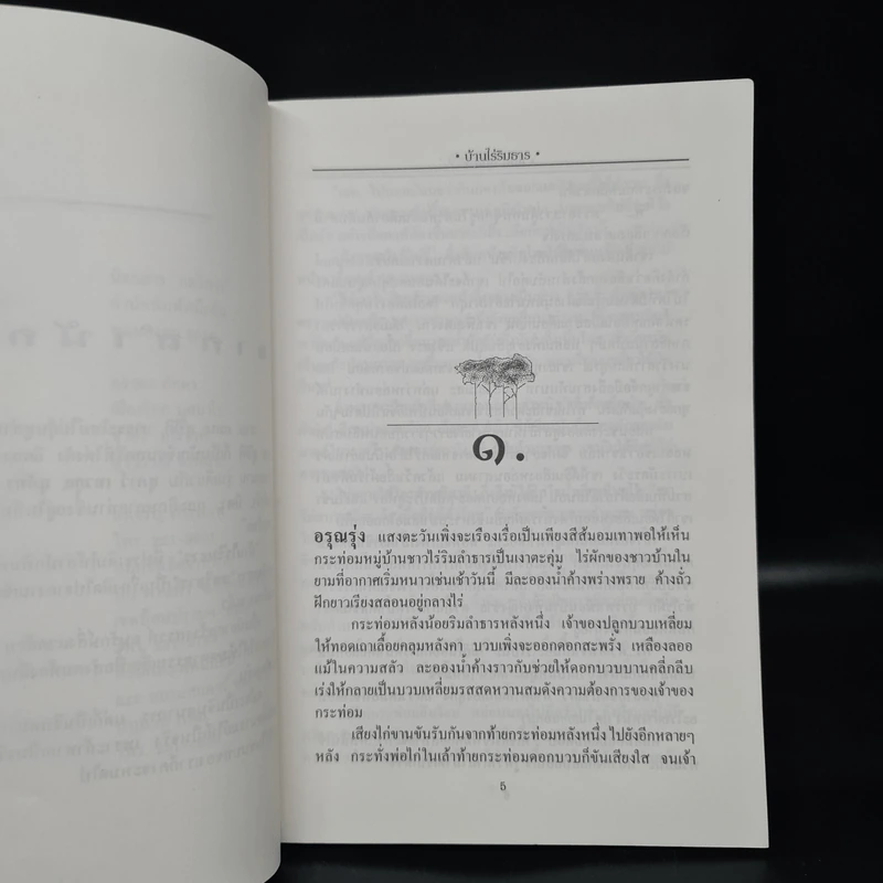 บ้านไร่ริมธาร - แมน สุปิติ รูปที่ 6