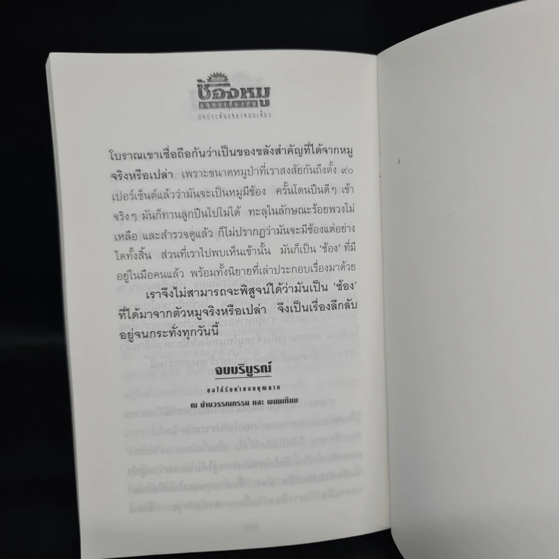 จับตายช้องหมู มฤตยูเขี้ยวตัน - พนมเทียน รูปที่ 7