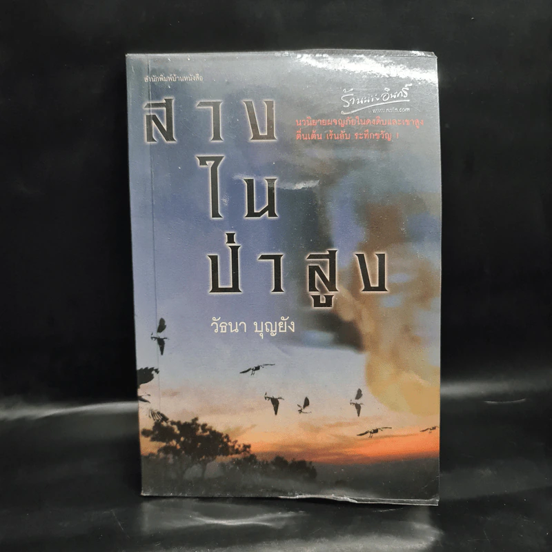 สางในป่าสูง - วัธนา บุญยัง รูปที่ 1