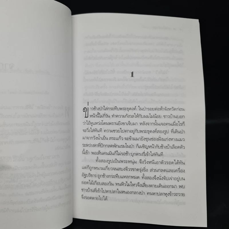 สางในป่าสูง - วัธนา บุญยัง รูปที่ 6