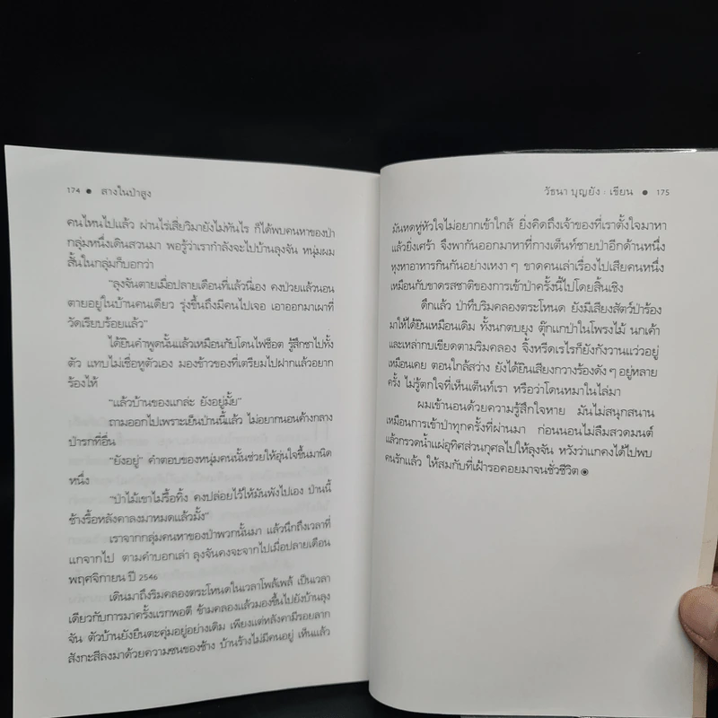 สางในป่าสูง - วัธนา บุญยัง รูปที่ 7