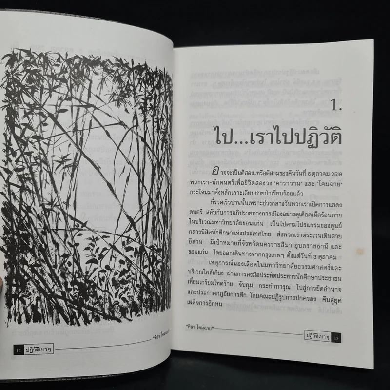 ปฏิวัติเบาๆ - ศิลา โคมฉาย รูปที่ 7