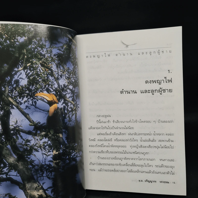 ดงพญาไฟ ตำนาน และลูกผู้ชาย - ม.ล.ปริญญากร วรวรรณ รูปที่ 7