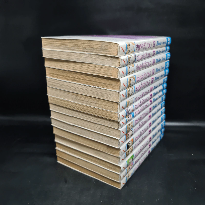 สวรรค์ที่ไร้เธอ เล่ม 1-15 รูปที่ 4
