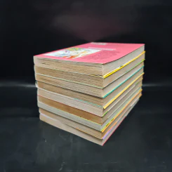 ถึงอย่างไรก็รัก 9 เล่มจบ รูปที่ 3