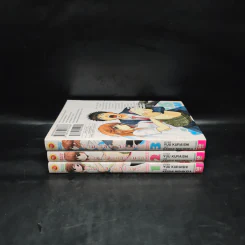 ข้ามเวลามาป่วนรัก เล่ม 1-3 รูปที่ 2