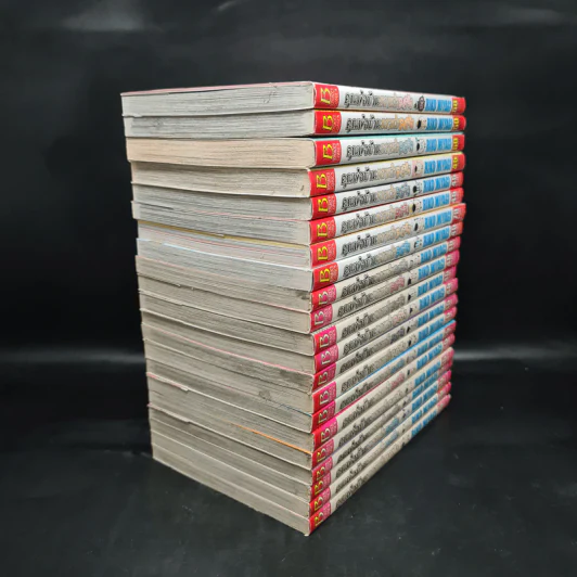 คุณพ่อบ้านหวานใจเมย์จัง 20 เล่มจบ (รวม 21 เล่ม มีเล่ม 14.5 ด้วยค่ะ) รูปที่ 4