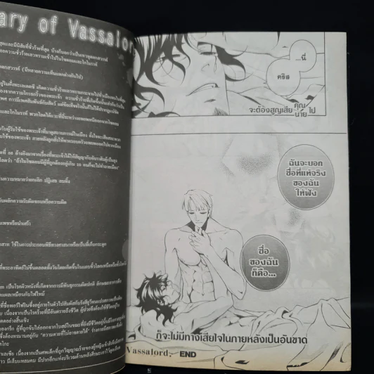 Vassalord 7 เล่มจบ รูปที่ 8