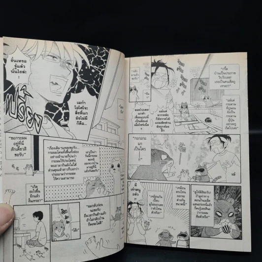 โอโคโจะซัง ตัวซ่าบรรดาศักดิ์ 8 เล่มจบ รูปที่ 7