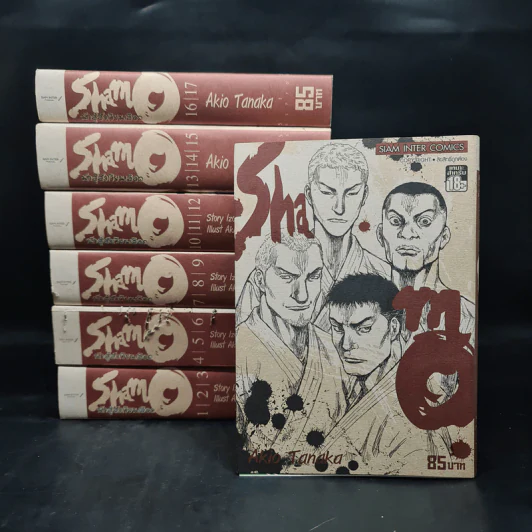 นักสู้สังเวียนเลือด ฉบับรวมเล่มเล่ม 1-19 รูปที่ 1