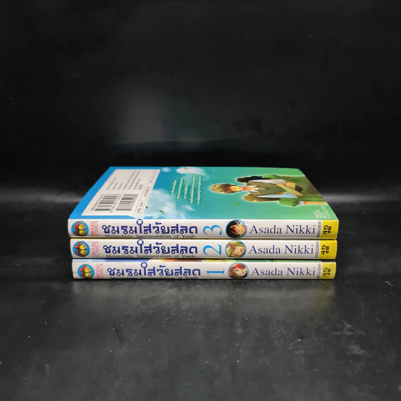 ชมรมใสวัยสลด เล่ม 1-3 รูปที่ 2