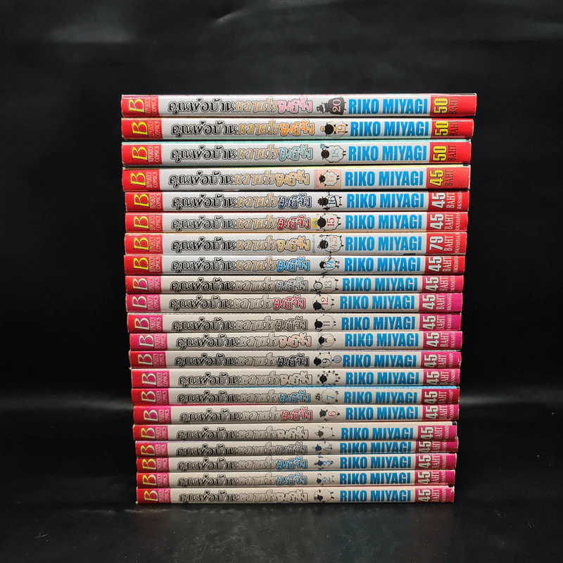 คุณพ่อบ้านหวานใจเมย์จัง 20 เล่มจบ (รวม 21 เล่ม มีเล่ม 14.5 ด้วยค่ะ) รูปที่ 2